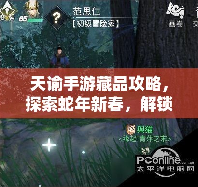 天谕手游藏品攻略，探索蛇年新春，解锁不同藏品的奇妙冒险之旅