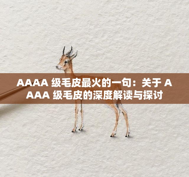 AAAA 级毛皮最火的一句：关于 AAAA 级毛皮的深度解读与探讨
