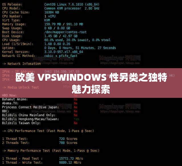 欧美 VPSWINDOWS 性另类之独特魅力探索