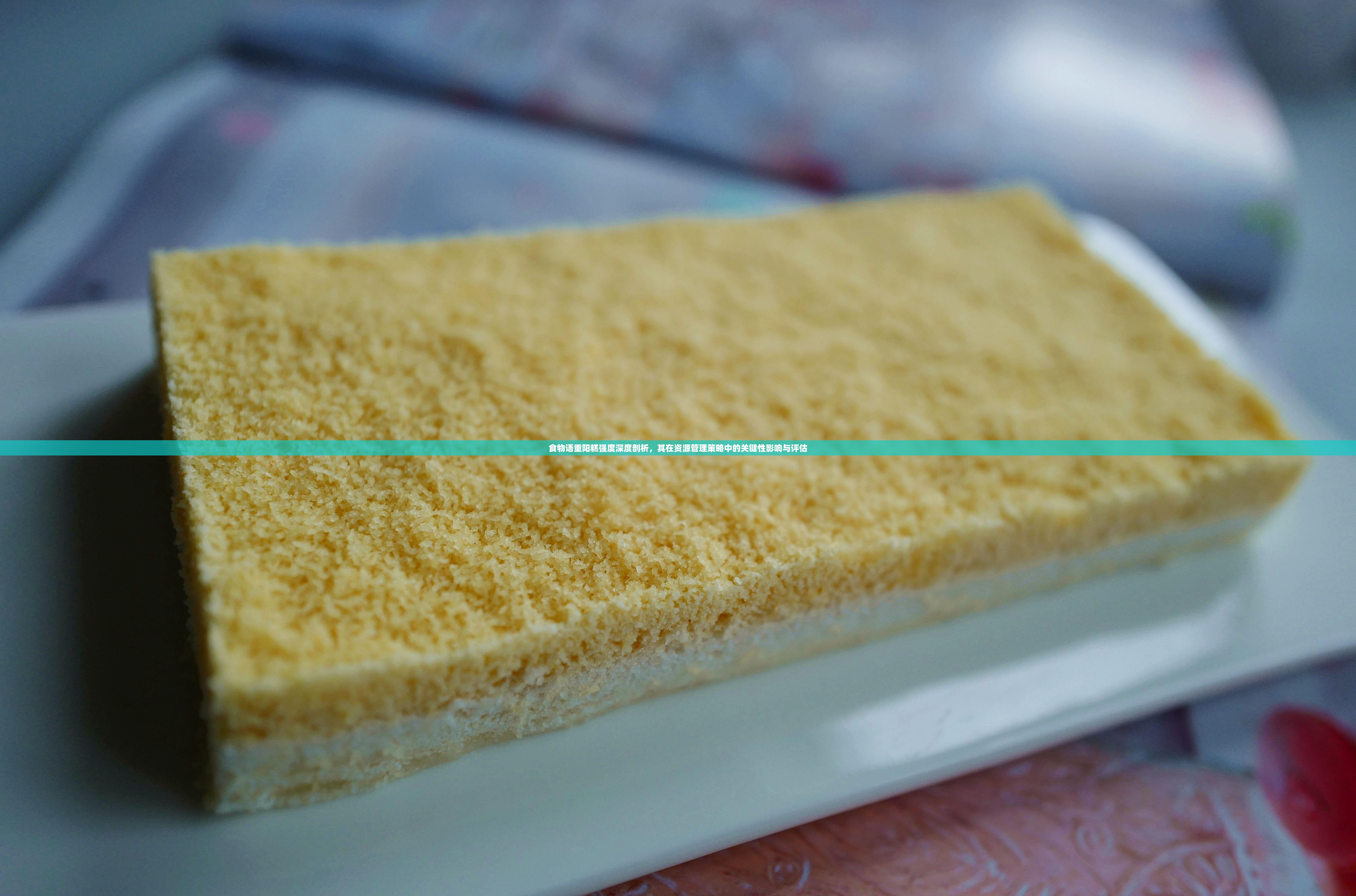 食物语重阳糕强度深度剖析，其在资源管理策略中的关键性影响与评估