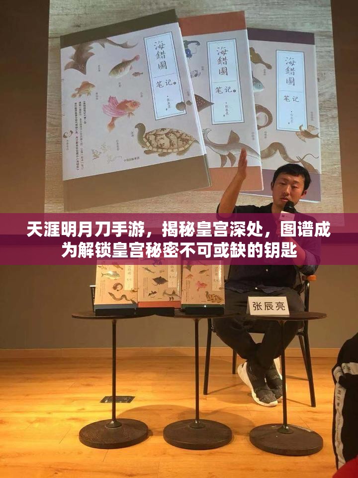 天涯明月刀手游，揭秘皇宫深处，图谱成为解锁皇宫秘密不可或缺的钥匙