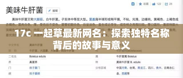 17c 一起草最新网名：探索独特名称背后的故事与意义