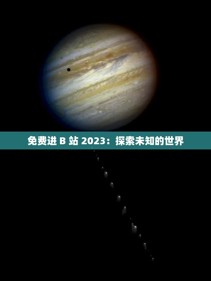 免费进 B 站 2023：探索未知的世界