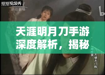 天涯明月刀手游深度解析，揭秘查看仇人信息及复仇策略之路