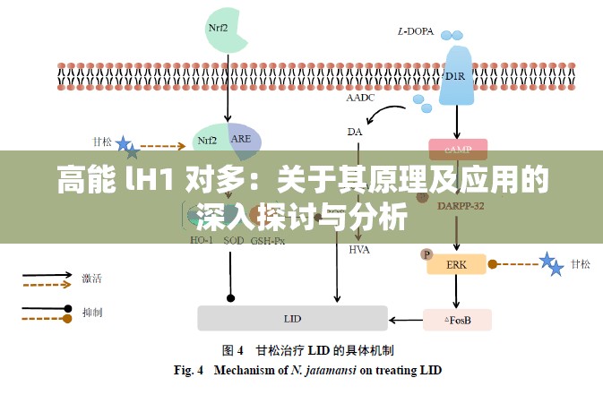 高能 lH1 对多：关于其原理及应用的深入探讨与分析