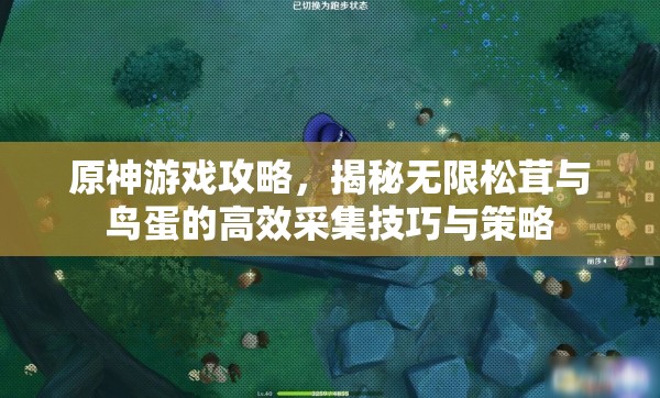 原神游戏攻略，揭秘无限松茸与鸟蛋的高效采集技巧与策略