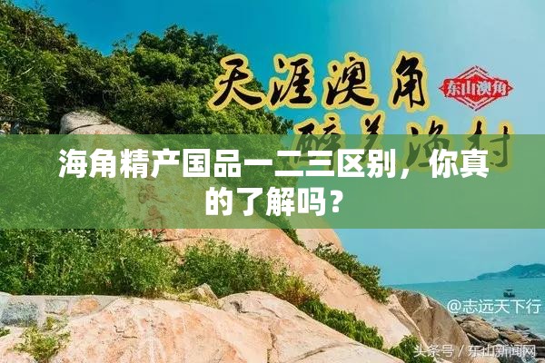 海角精产国品一二三区别，你真的了解吗？