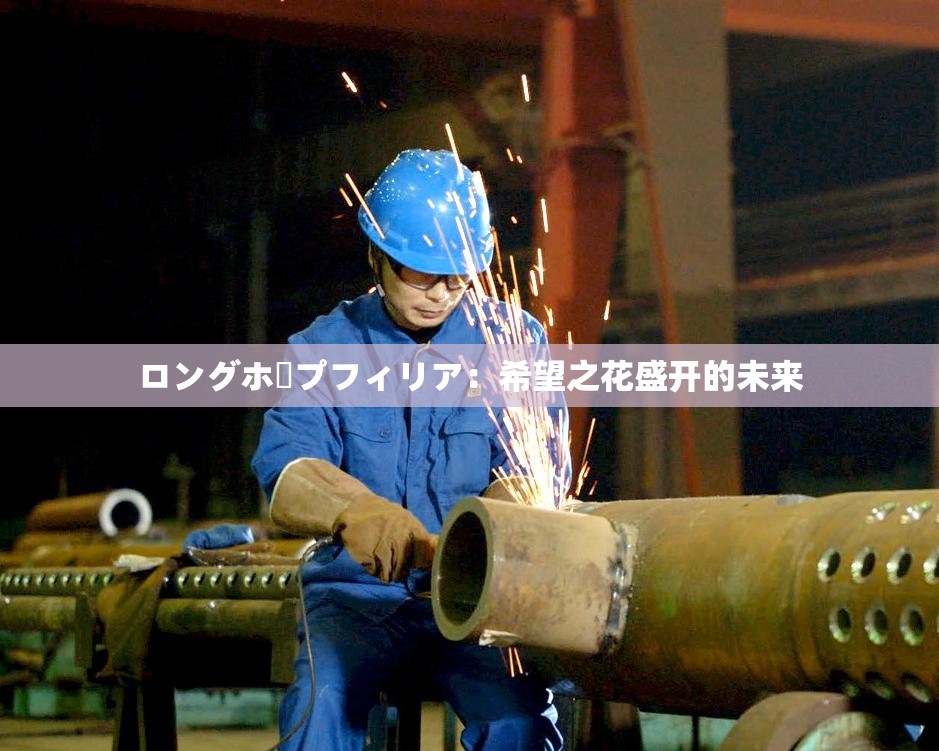 ロングホープフィリア：希望之花盛开的未来