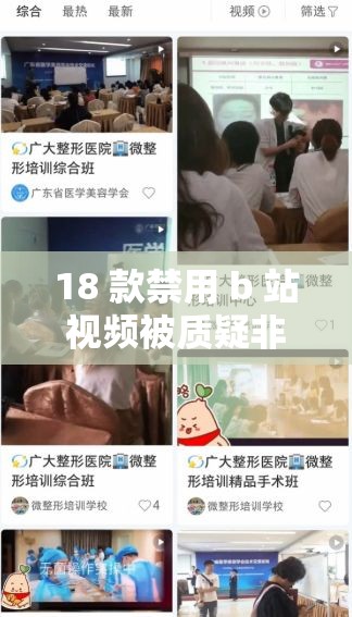 18 款禁用 b 站视频被质疑非国产即将下架：国产动画何去何从？