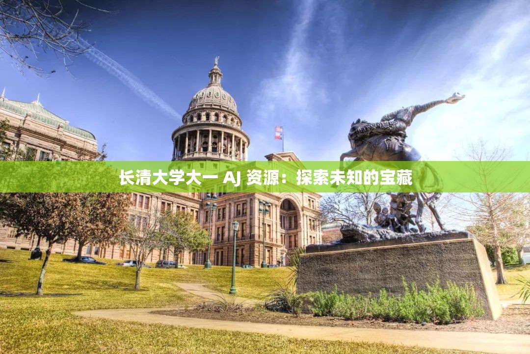 长清大学大一 AJ 资源：探索未知的宝藏