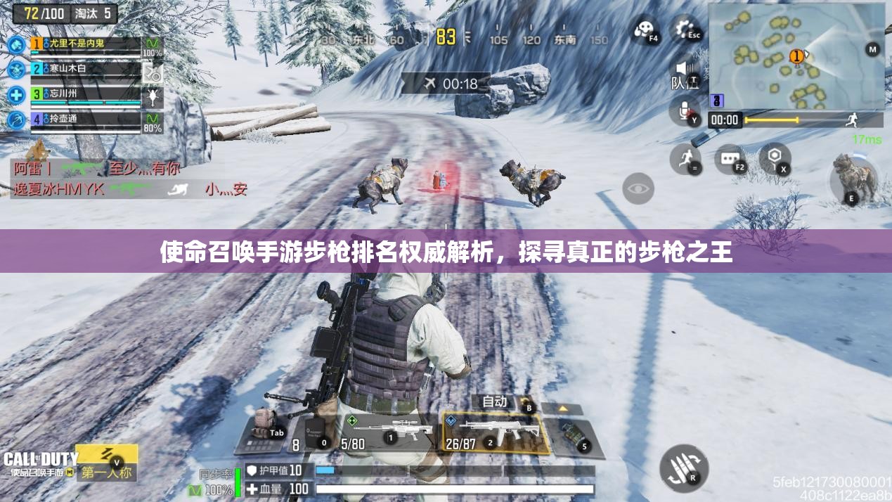 使命召唤手游步枪排名权威解析，探寻真正的步枪之王