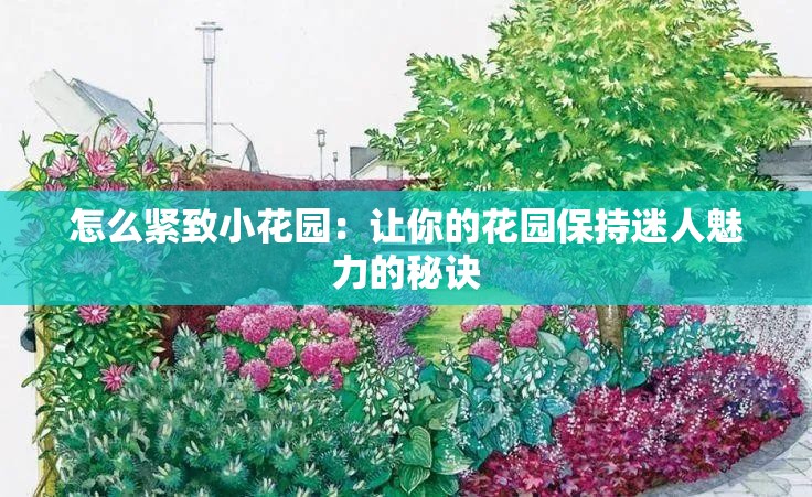 怎么紧致小花园：让你的花园保持迷人魅力的秘诀