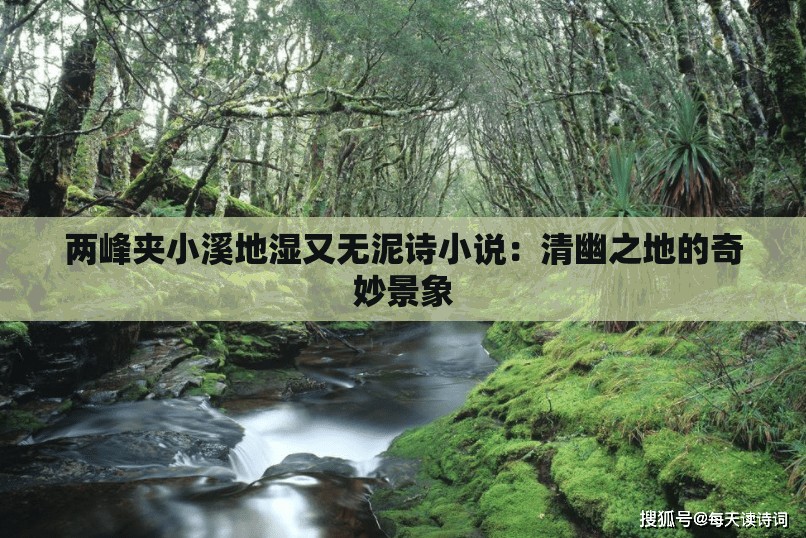 两峰夹小溪地湿又无泥诗小说：清幽之地的奇妙景象