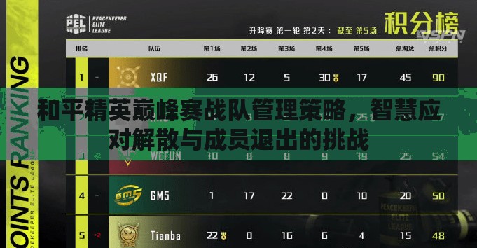 和平精英巅峰赛战队管理策略，智慧应对解散与成员退出的挑战