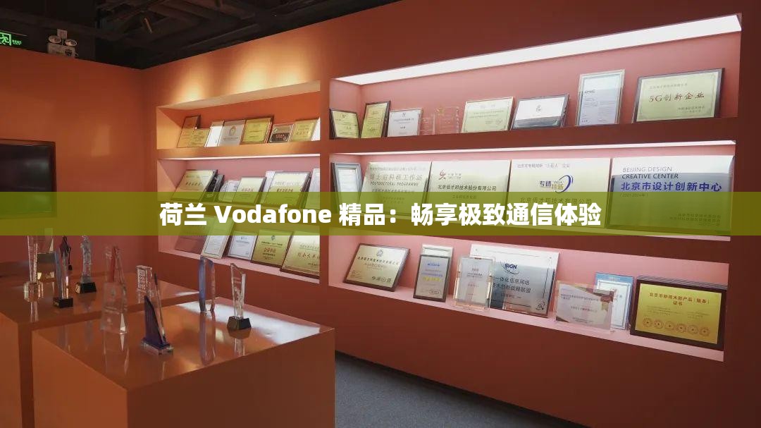 荷兰 Vodafone 精品：畅享极致通信体验