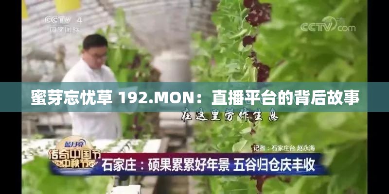 蜜芽忘忧草 192.MON：直播平台的背后故事
