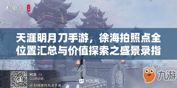 天涯明月刀手游，徐海拍照点全位置汇总与价值探索之盛景录指南