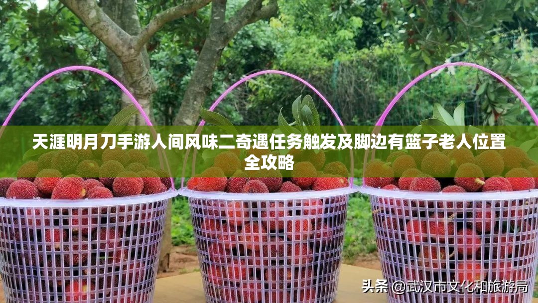 天涯明月刀手游人间风味二奇遇任务触发及脚边有篮子老人位置全攻略