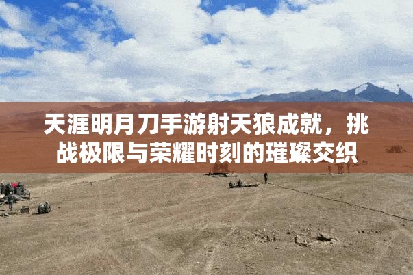 天涯明月刀手游射天狼成就，挑战极限与荣耀时刻的璀璨交织