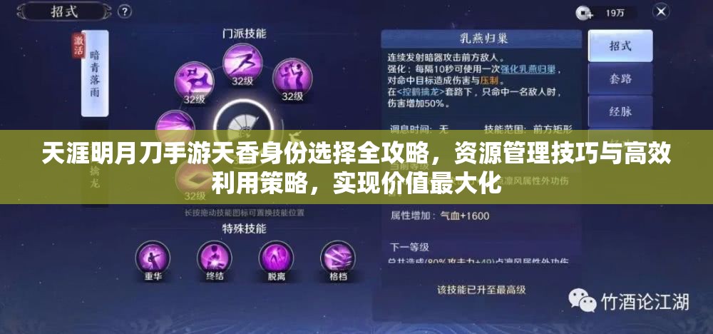 天涯明月刀手游天香身份选择全攻略，资源管理技巧与高效利用策略，实现价值最大化