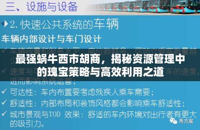 最强蜗牛西市胡商，揭秘资源管理中的瑰宝策略与高效利用之道
