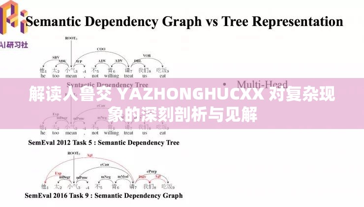 解读人鲁交 YAZHONGHUCXX 对复杂现象的深刻剖析与见解