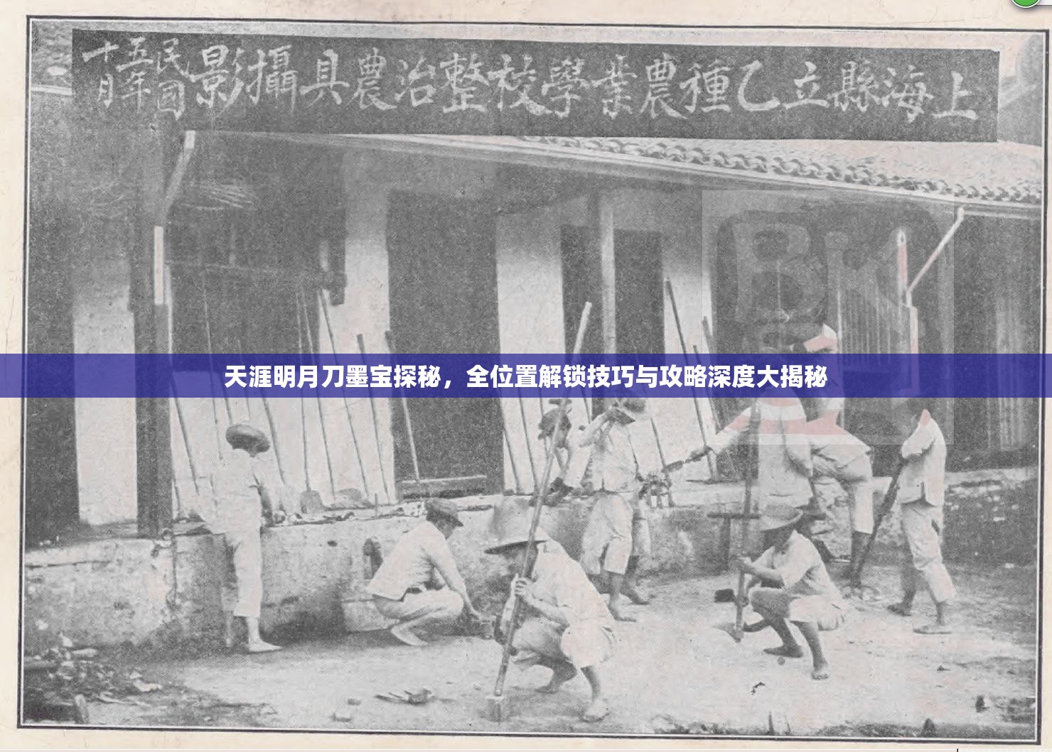 天涯明月刀墨宝探秘，全位置解锁技巧与攻略深度大揭秘