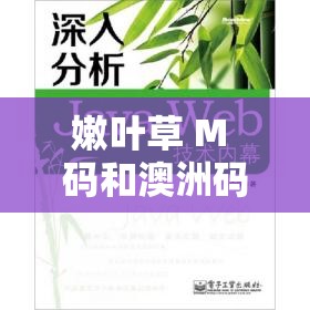 嫩叶草 M 码和澳洲码的区别-深入对比与细致剖析