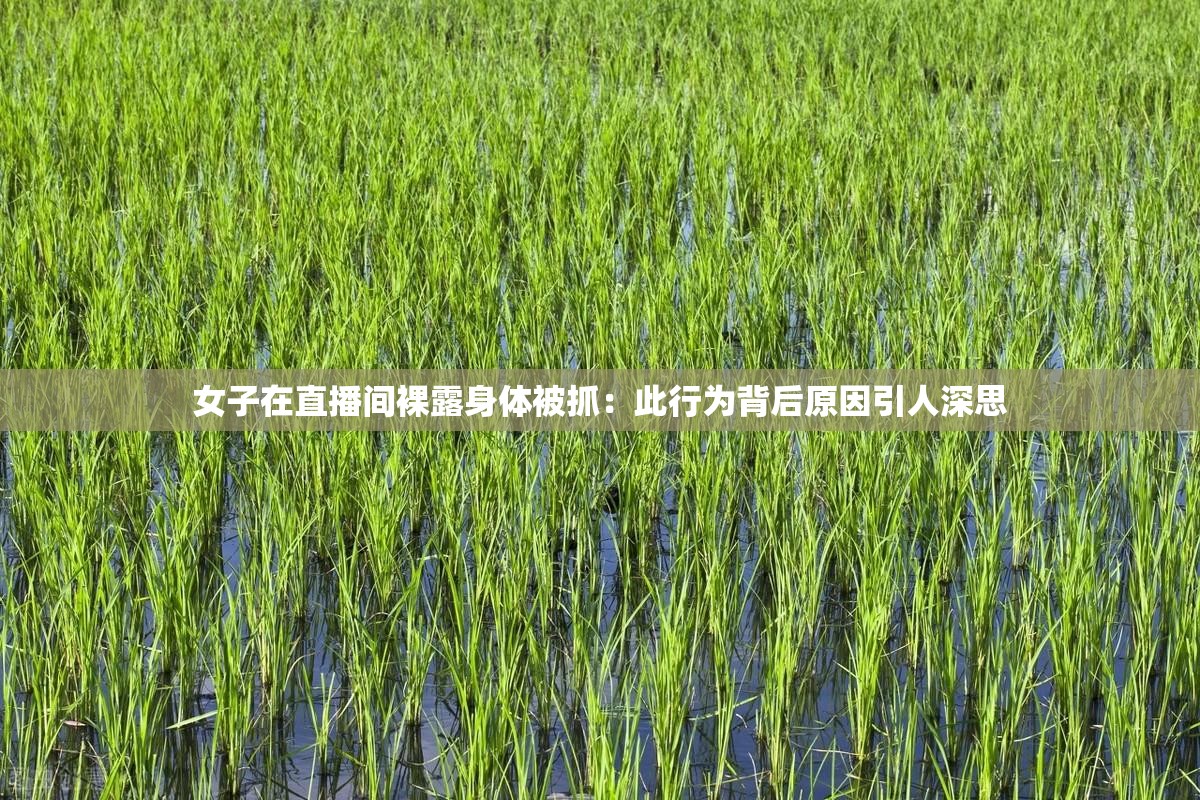 女子在直播间裸露身体被抓：此行为背后原因引人深思