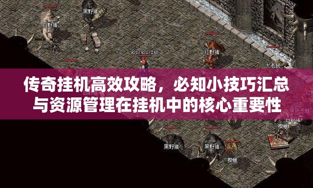 传奇挂机高效攻略，必知小技巧汇总与资源管理在挂机中的核心重要性