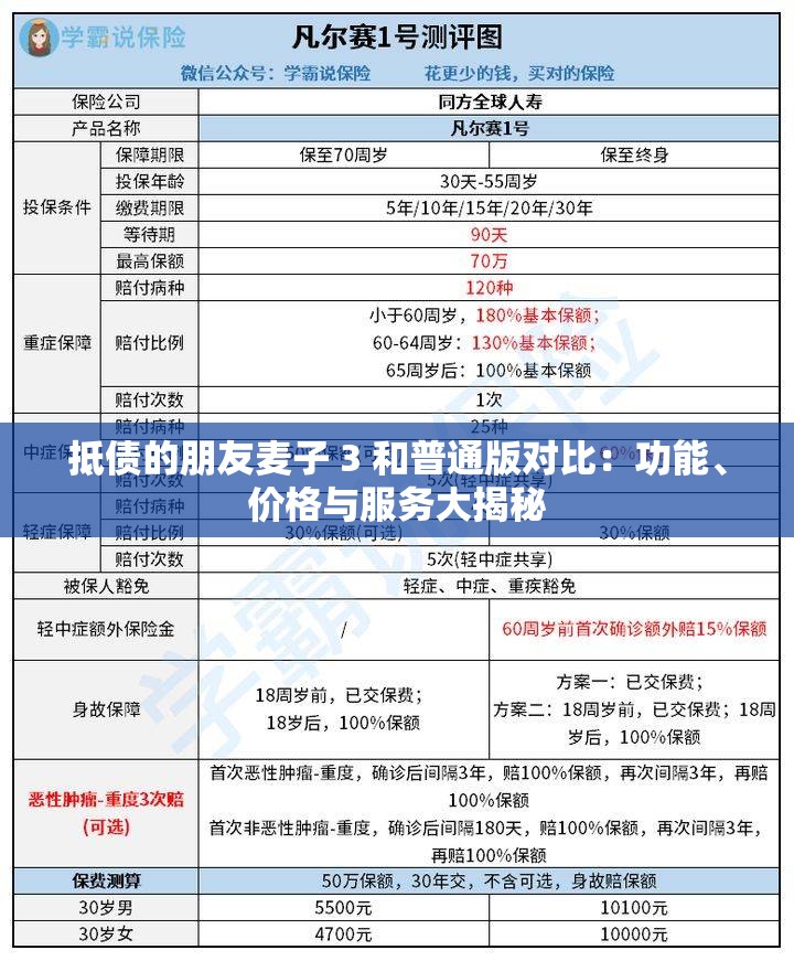 抵债的朋友麦子 3 和普通版对比：功能、价格与服务大揭秘