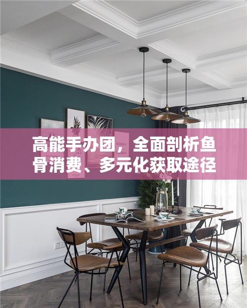 高能手办团，全面剖析鱼骨消费、多元化获取途径及其实际用途深度解析