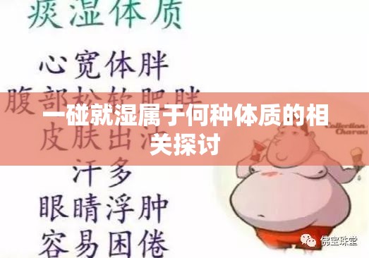 一碰就湿属于何种体质的相关探讨
