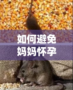 如何避免妈妈怀孕：科学方法与责任意识