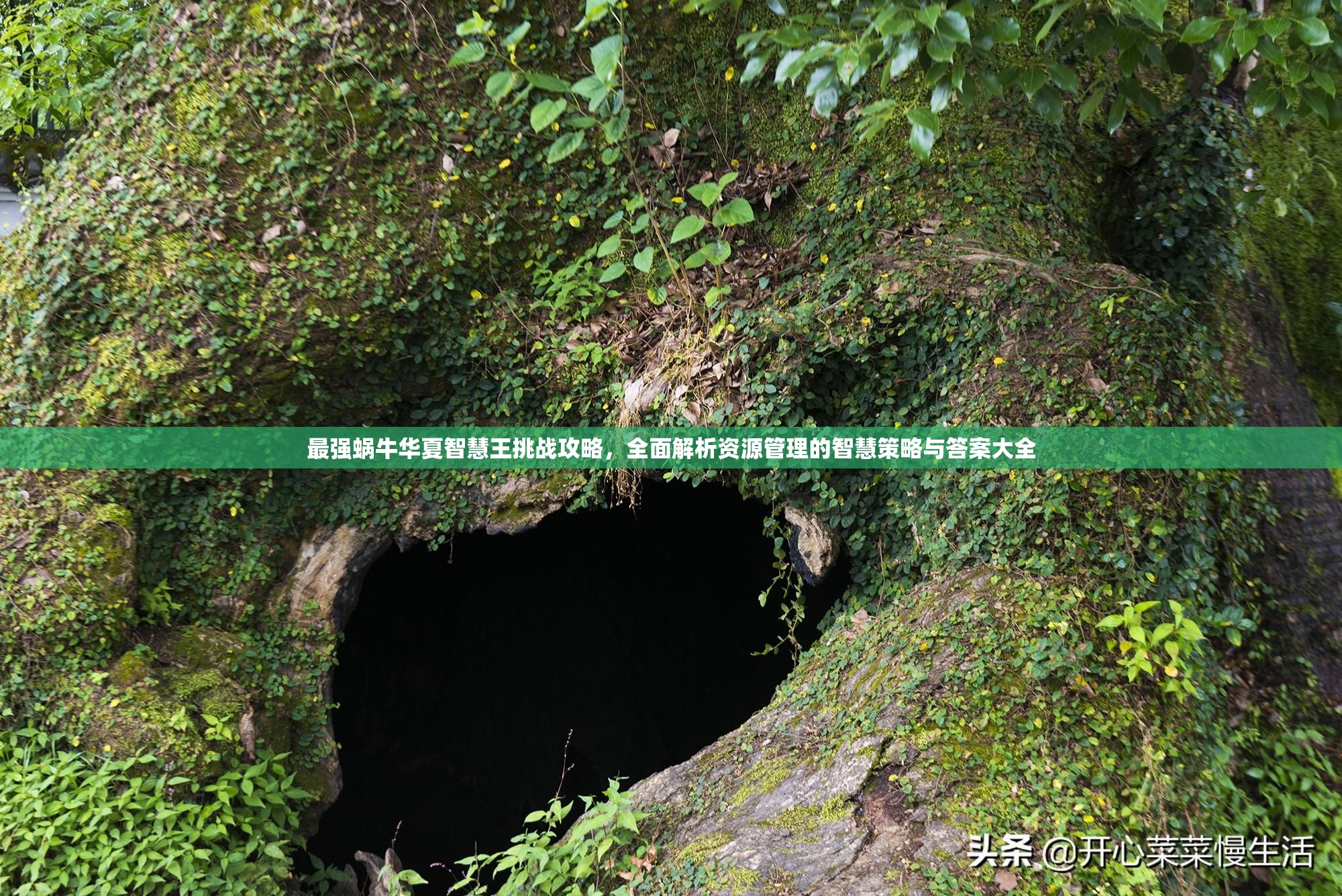 最强蜗牛华夏智慧王挑战攻略，全面解析资源管理的智慧策略与答案大全