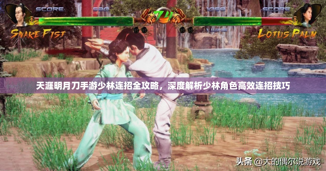 天涯明月刀手游少林连招全攻略，深度解析少林角色高效连招技巧