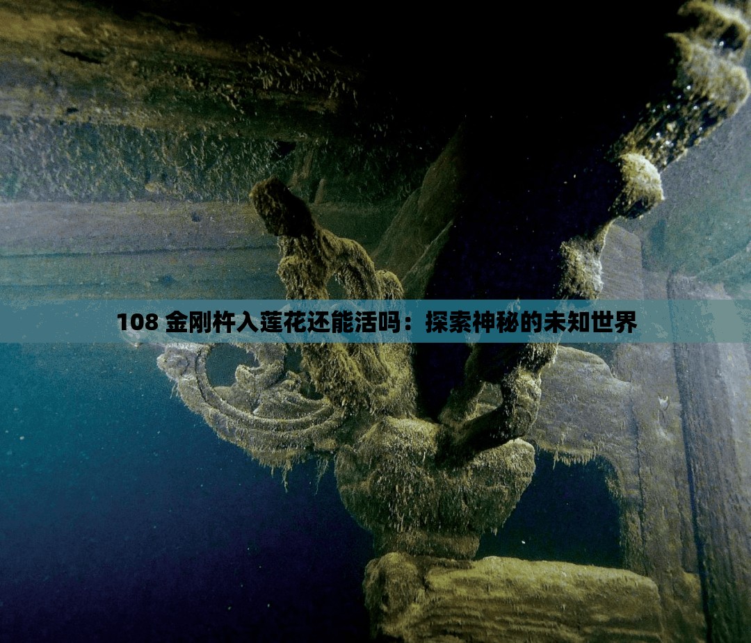 108 金刚杵入莲花还能活吗：探索神秘的未知世界
