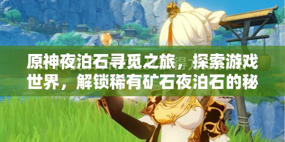 原神夜泊石寻觅之旅，探索游戏世界，解锁稀有矿石夜泊石的秘密位置