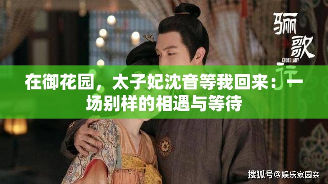 在御花园，太子妃沈音等我回来：一场别样的相遇与等待