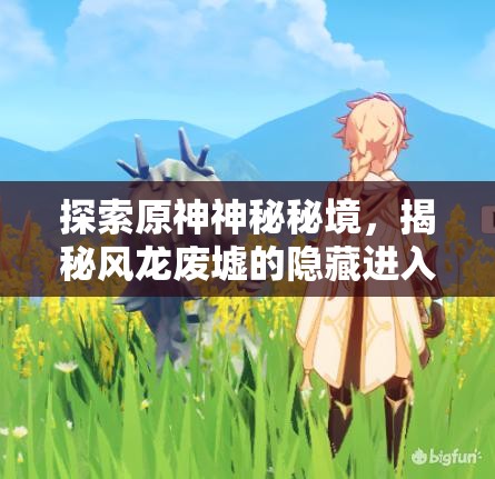 探索原神神秘秘境，揭秘风龙废墟的隐藏进入之道与攻略