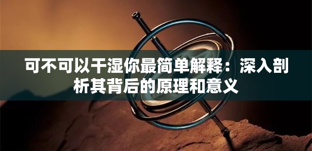 可不可以干湿你最简单解释：深入剖析其背后的原理和意义