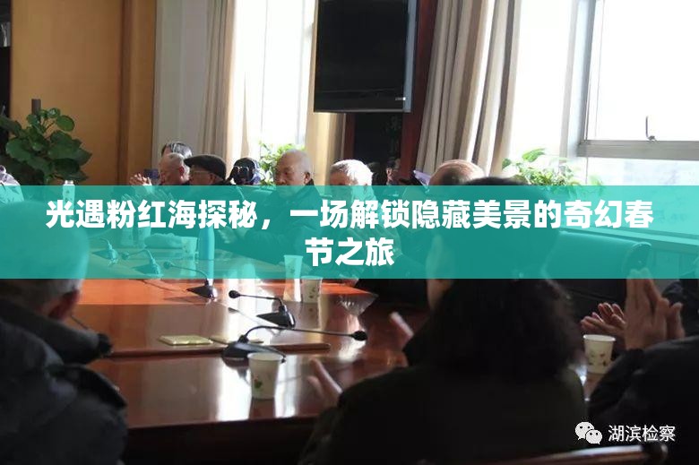 光遇粉红海探秘，一场解锁隐藏美景的奇幻春节之旅