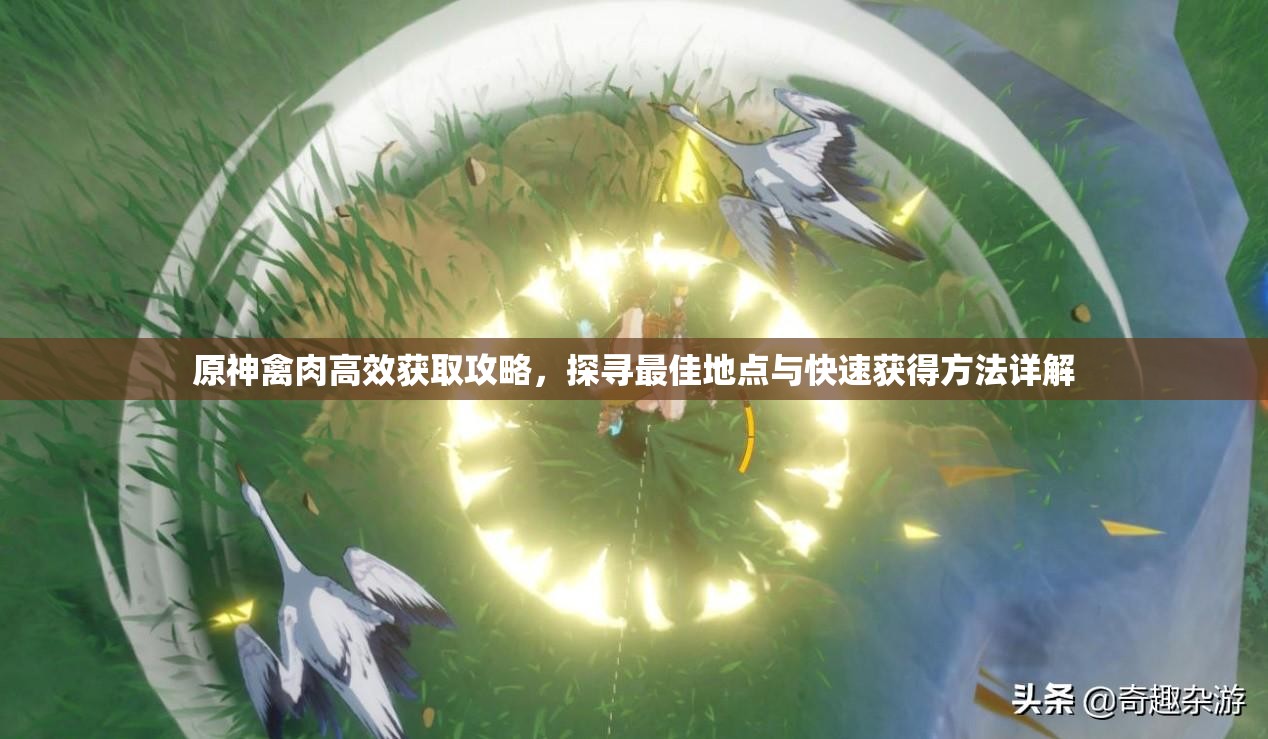 原神禽肉高效获取攻略，探寻最佳地点与快速获得方法详解