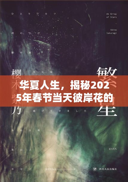 华夏人生，揭秘2025年春节当天彼岸花的寻觅历程与获取秘诀