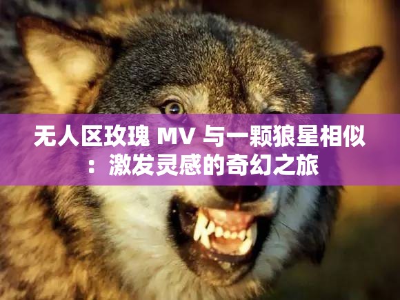 无人区玫瑰 MV 与一颗狼星相似：激发灵感的奇幻之旅