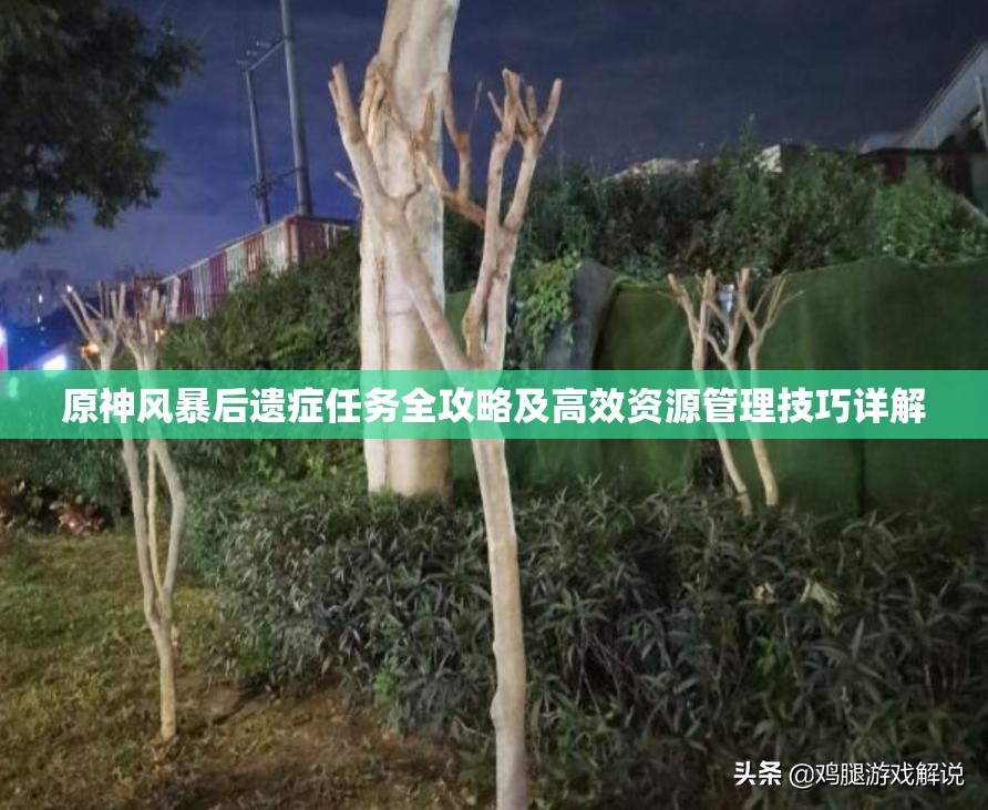 原神风暴后遗症任务全攻略及高效资源管理技巧详解