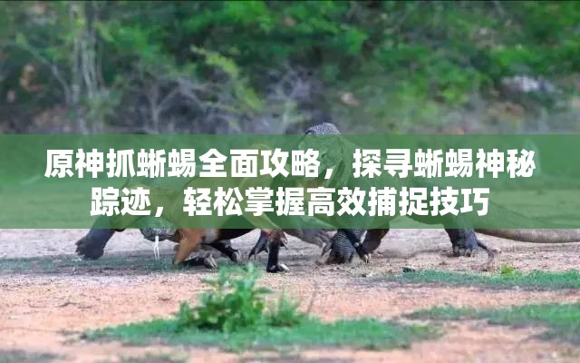 原神抓蜥蜴全面攻略，探寻蜥蜴神秘踪迹，轻松掌握高效捕捉技巧