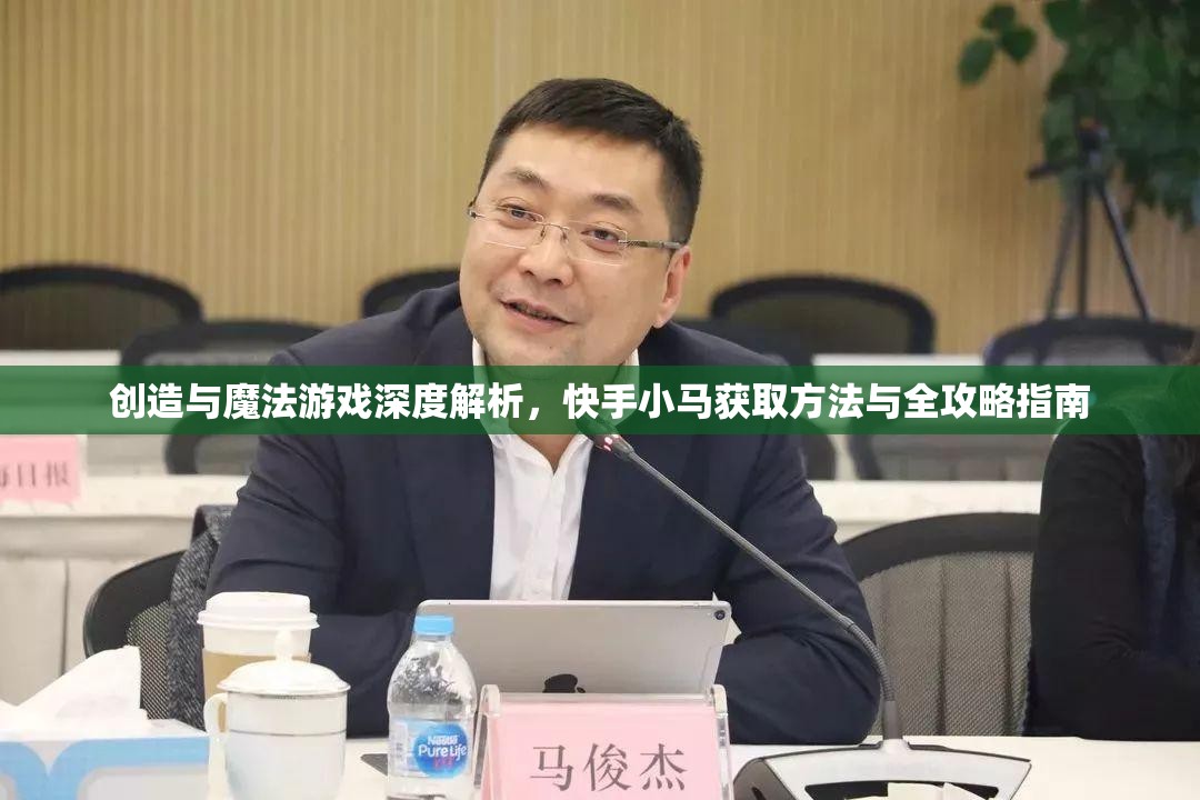 创造与魔法游戏深度解析，快手小马获取方法与全攻略指南