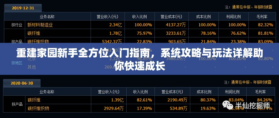 重建家园新手全方位入门指南，系统攻略与玩法详解助你快速成长