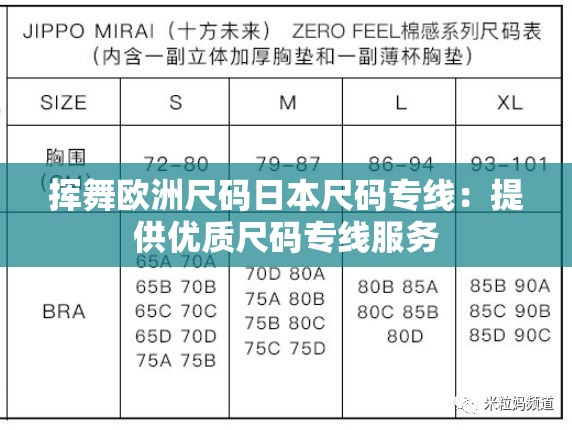 挥舞欧洲尺码日本尺码专线：提供优质尺码专线服务
